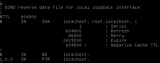 é recomendado que utilize-os. De acordo com a documentação oficial do Debian, é recomendado que os arquivos sejam criados dentro do diretório /var/cache/bind.