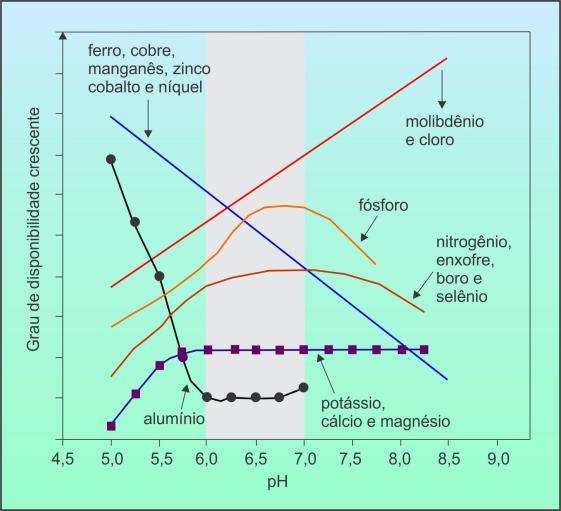 Correção da acidez - calagem CaCO 3 + H 2 O + H + Ca