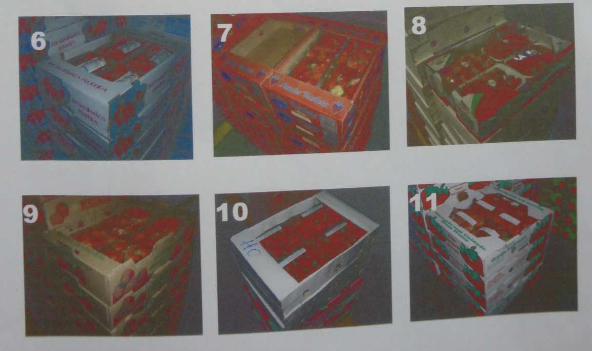 Caixas de goiaba usadas na CEAGESP (2004) Caixas de morango usadas na CEAGESP (2004) Estruturação para classificação Grupo