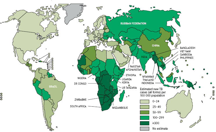16 Figura 1 - Estimated TB incidence rates, 2010 FONTE: Retirado de <http://whqlibdoc.who.int/publications/2011/9789241564380_eng.pdf> Acesso em: 24/08/12 (WHO, 2011).