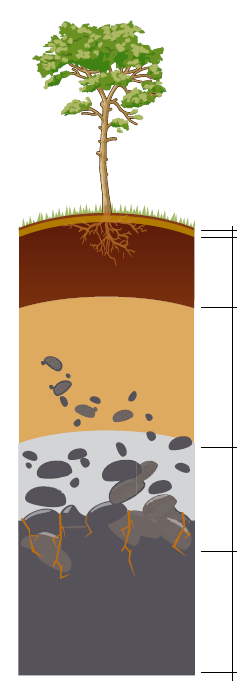A formação do solo resulta de diferentes agentes erosivos sobre as rochas, entre eles: - A água que, ao transportar materiais que atravessam as fendas das rochas, as desgastam; - A solidificação da