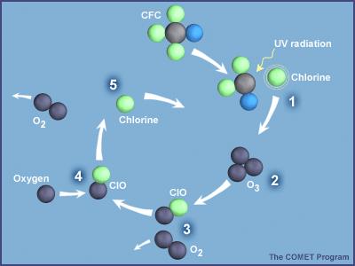 Os CFC s e a destruição do ozono