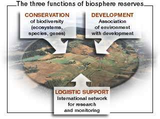 CONSERVAÇÃO da biodiversidade (ecossistemas, espécies, genes) O