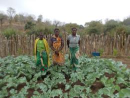 Programas Sociais Programa de Melhoria de Práticas Agrícolas Técnico agrícola baseado na comunidade Criação de horta escolar Constituição de associação de mulheres camponesas Capacitação na produção