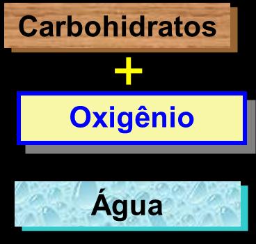 ÁRVORE - A FÁBRICA DA MADEIRA Dióxido de Carbono + Água Unico Material Construtivo : Renovável Ciclo Curto