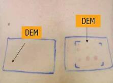 OBSERVAÇÕES: Danos não visíveis Foto tipos altos Crianças Vidro UVB O que é FPS como é medido?