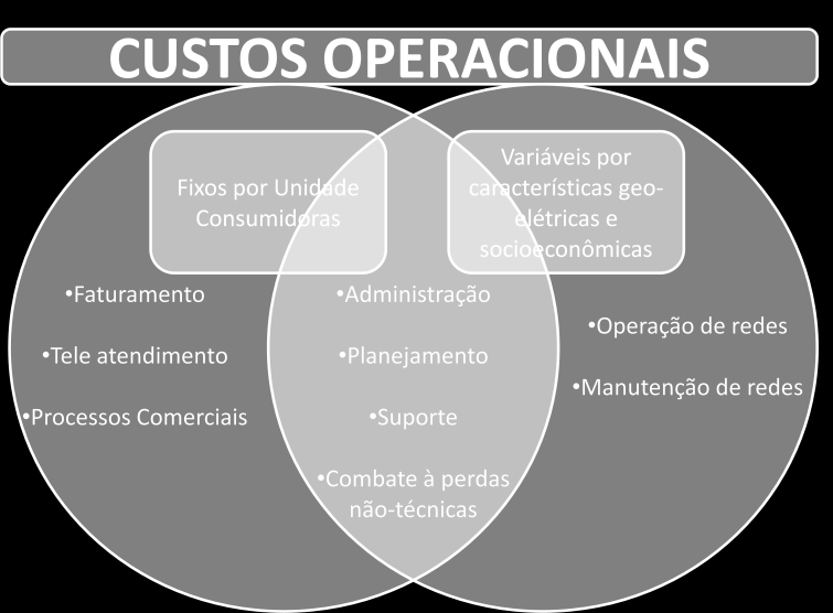 Fls. 39 Nota Técnica n.º 311/2011 SRE-SRD/ANEEL, de 17 de novembro de 2011. Figura 12: Custos operacionais segregado por custos variáveis e fixos. 173.