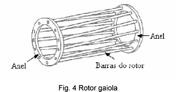 Motor gaiola de