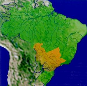 Esta bacia integra a Bacia Platina (rios Paraguai, Paraná e Uruguai) com uma área de 1,2 milhão de km² (14% do território nacional); Apresenta o segundo maior potencial hidráulico, mas com maior