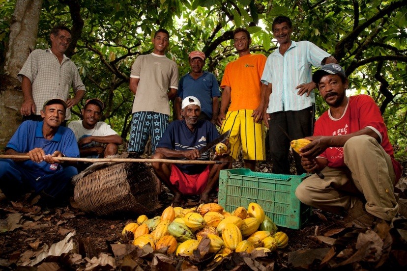 consumo interno Aumento do volume comercializado de frutas e