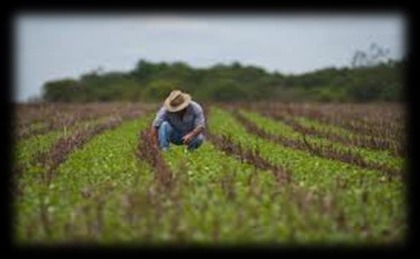 Plano Safra 2013-2014 Links de acesso as linhas de financiamentos BNDES PSI, Finame Agrícola, Moderfrota e Moderinfra Moderagro, Pronaf,