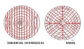 O desdobro RADIAL produz peças de melhor qualidade, tendo menores rachaduras durante a secagem, menores empenamentos e defeitos