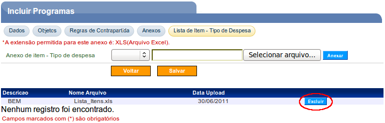 Figura 28 Para a inclusão de Lista Item - Tipo de Despesa, o usuário deverá clicar na aba Lista Item - Tipo de Despesa ou no botão Finalizar da aba Anexos.