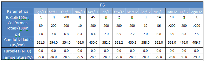 Os resultados das análises físico-químicas estão dentro dos padrões de potabilidade estabelecido pela portaria n 2914/2004 do Ministério da Saúde, exceto o poço P1 que apresentou característica ácida