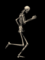 elástico dos ossos Transferência de carga insuficiente pode causar reabsorção óssea e