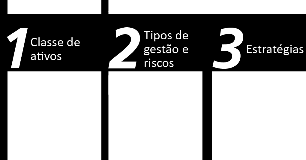 Também como é praxe no mercado global, parte da política de investimento dos fundos e busca explicitar da forma mais clara possível as estratégias e riscos associados às opções de carteiras que