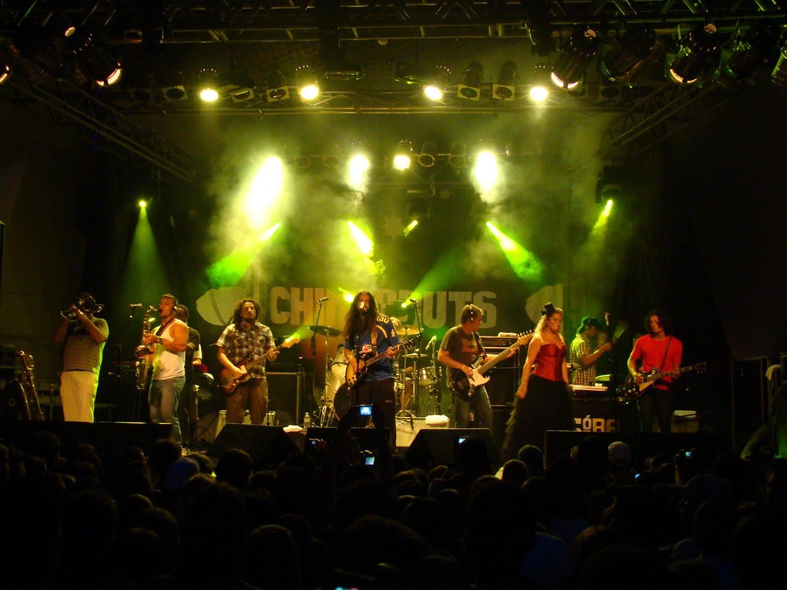 Relevância do Projeto O Festival Joinville In Concert pretende colocar Santa Catarina no calendário de grandes eventos voltados à divulgação e intercâmbio cultural entre as vertentes do rock e