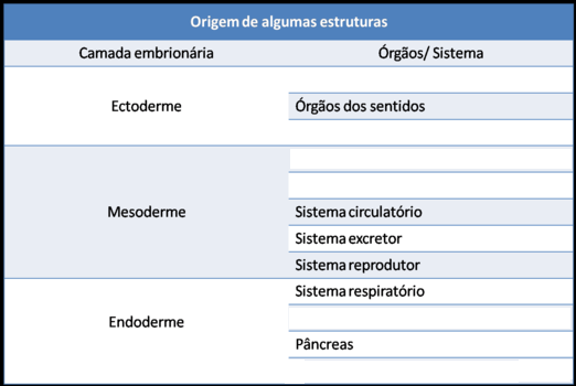 Alaóide e saco vitelino B. Cordão umbilical 4. Estruturas quer incorram o cordão umbilical D. Placea 5. Tem função endócrina e garae, através do cordão umbilical, a troca de nutriees com o feto. E. Embrião n t 3.