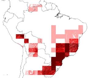 Resultados Chrysophyllum flexuosum Aumento de área pessimista