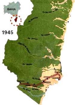 Histórico do desmatamento Sul do Estado da