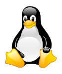 O que é o Linux? Em 1991, Linus Benedict Torvalds, um estudante finlandês de 21 anos de idade, criou o Linux.