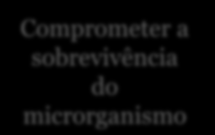 Produção de anticorpos da classe IgG e IgG1 pela exposição a saliva do flebotomíneo L.