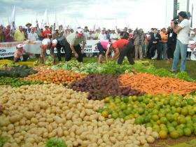 Panorama da compra de alimentos da agricultura familiar para o PNAE 1994 Lei nº 8.