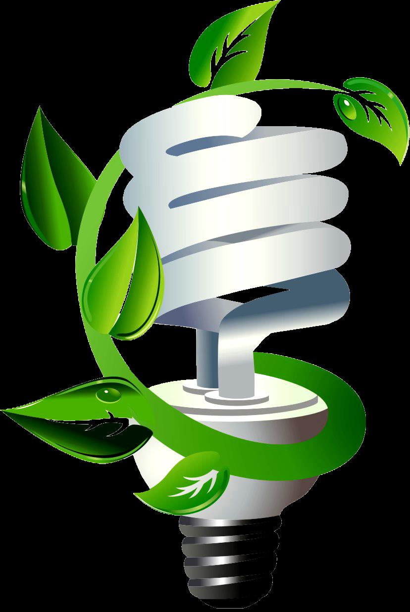 Biomassa é a matéria orgânica (origem animal ou vegetal) que pode ser utilizada como fonte de energia.