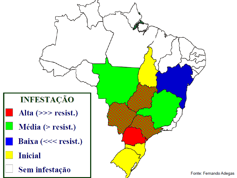 no Mundo (Paraguai) Situação atual: 2008
