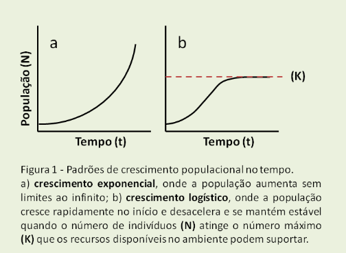 dn = variação no tamanho populacional dt = variação no tempo r = taxa intrínseca de crescimento populacional N = tamanho da população Crescimento Logístico O modelo de crescimento logístico é mais