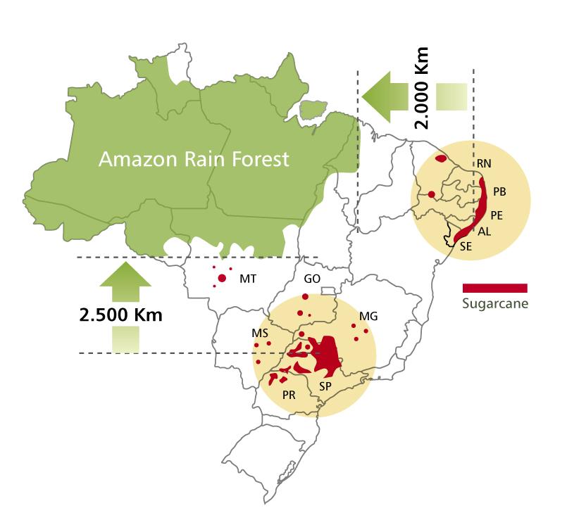 O Brasil tem condições de atender a demanda com sustentabilidade A Cana-de-açúcar é uma cultura muito eficiente para produção de energia: açúcar, eletricidade e etanol.