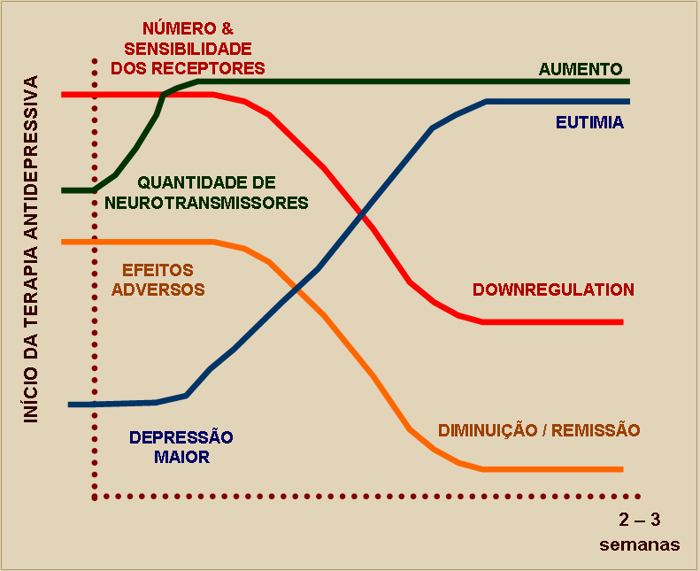 TRANSTORNOS DO HUMOR DEPRESSÃO MAIOR * DISTIMIA * TRANSTORNO BIPOLAR * CICLOTIMIA TEORIA MONOAMINÉRGICA DA DEPRESSÃO 1.