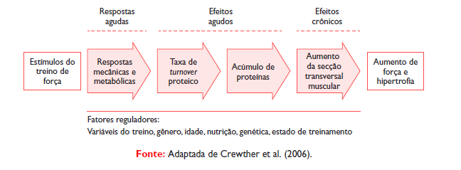 TREINAMENTO