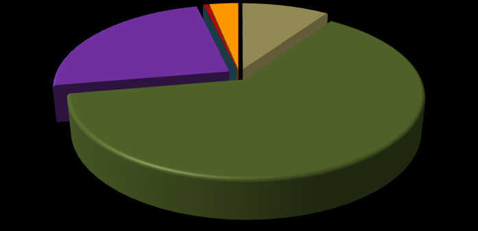 Gráfico 11 Distribuição dos alunos por modalidade ensino em Riqueza - 2007 0,0% 0,0% 0,5% 3,2% 9,5% Creche 24,0% 62,8% Pré-escola Ensino Fundamental Ensino Médio Educação Profissional (Nível Técnico)