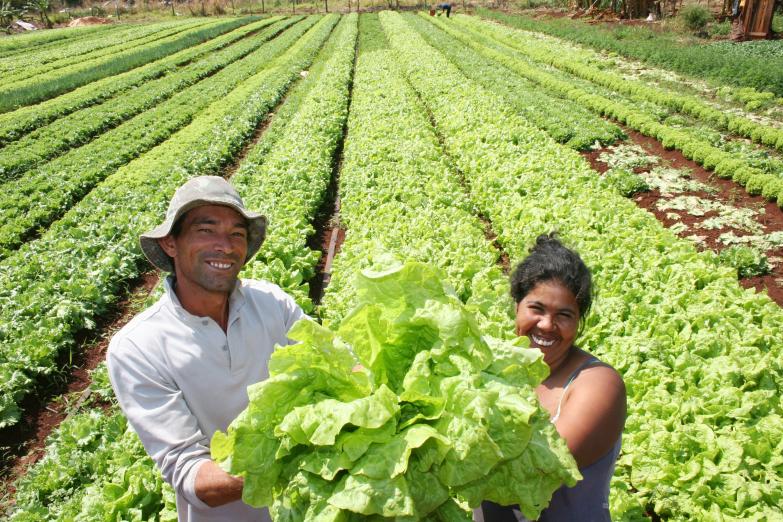 PAA e PNAE Agricultores beneficiados: 20 mil Valor negociado: 2 bilhões/ano