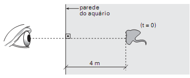 Determine a distância da imagem da arraia observada, em relação à parede de vidro. Considere nágua = 4/3. Aplicando a equação do dioptro plano temos: Onde : H = 4m h =?