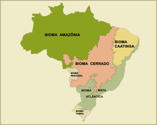 Mata Atlântica Floresta Amazônica Cerrado