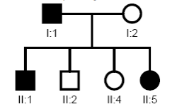 Analisando essa genealogia, é correto afirmar: a) Apenas os indivíduos I:1; II:1 e II:5 são heterozigotos. b) Todos os indivíduos afetados são homozigotos.