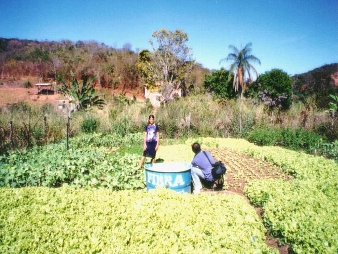 Segunda água HORTA