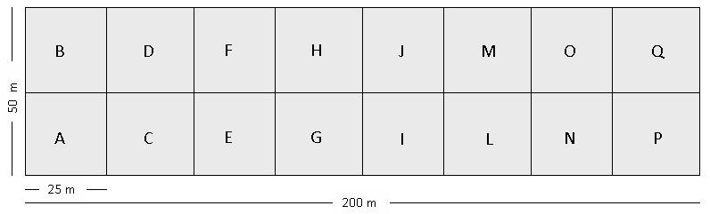 Figura 4.: Delineamento amostral da parcela de 1 hectare e suas subparcelas. 5. 2.