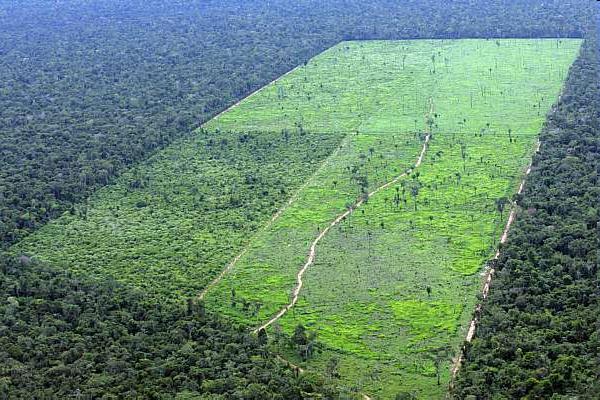 Setor de Redução da chuva Setor de Aumento da chuva Previous modelling sudies suggested that large scale deforestation in Amazonia may lead to a reduction in rainfall and impact the