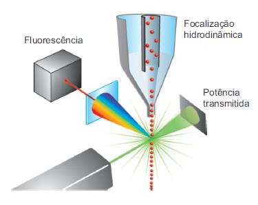 MÓDULO SOMACOUNT FCM O Somacount FCM é baseado na tecnologia de Citometria de Fluxo para contagem de células somáticas.