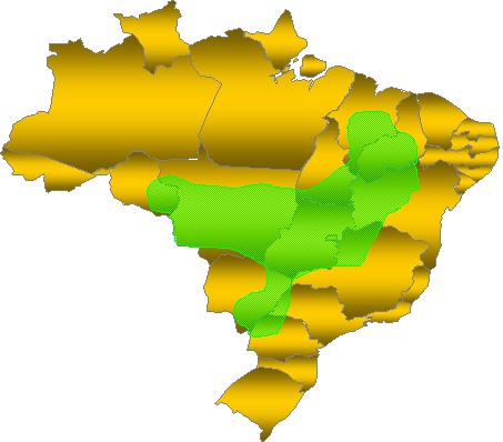 DIVERSIDADE DE MATÉRIA PRIMA PARA ETANOL Sacarinos