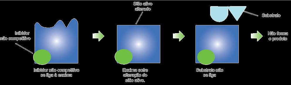 Inibição enzimática Não-competitiva Os inibidores se ligam a outras regiões da enzima,