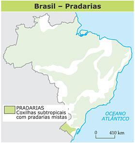 VEGETAÇÃO PRADARIA (CAMPOS OU PAMPAS) FORMAÇÃO HERBÁCEA EXTREMO SUL DO BRASIL- RS RISCO DE