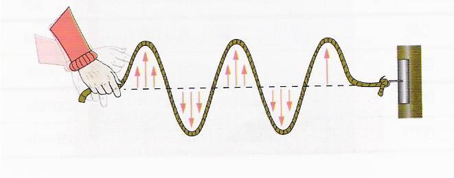 Uma onda Não transporta matéria Transporta energia Onda O pulso gerado num determinado ponto da corda vai