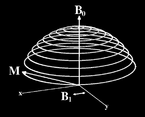 electromagnética, onde o sistema retorna ao estado de equilíbrio (processo chamado de relaxação). 2.