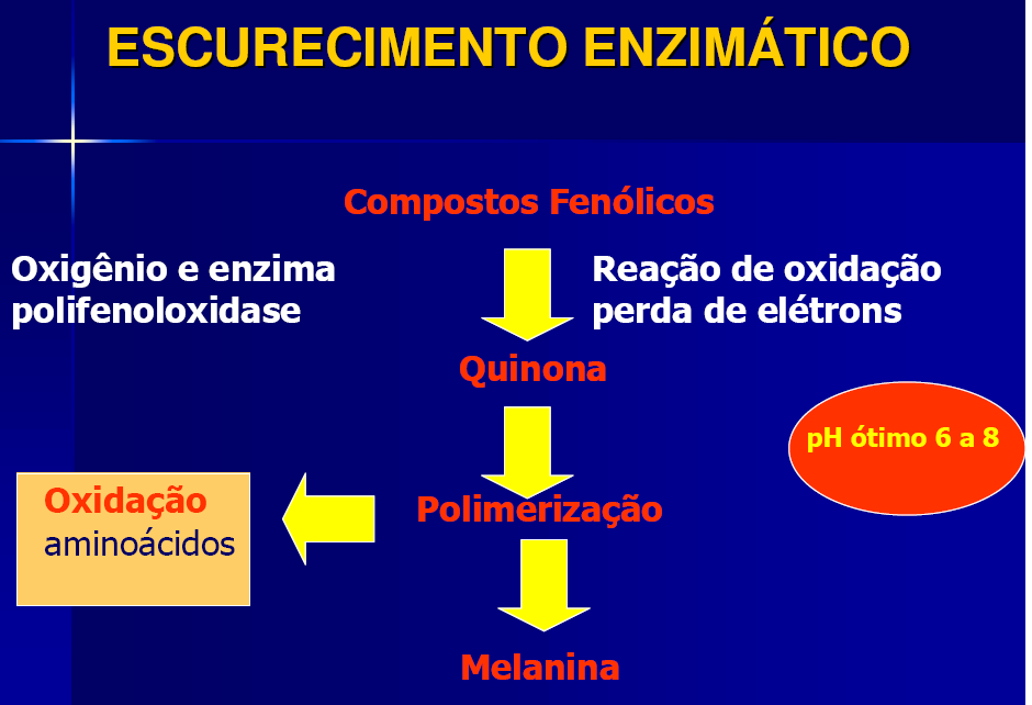 3) entretanto utiliza-se a denominação polifenoloxidase (PPO). A enzima reage com o oxigênio em presença de compostos fenólicos formando quinonas.