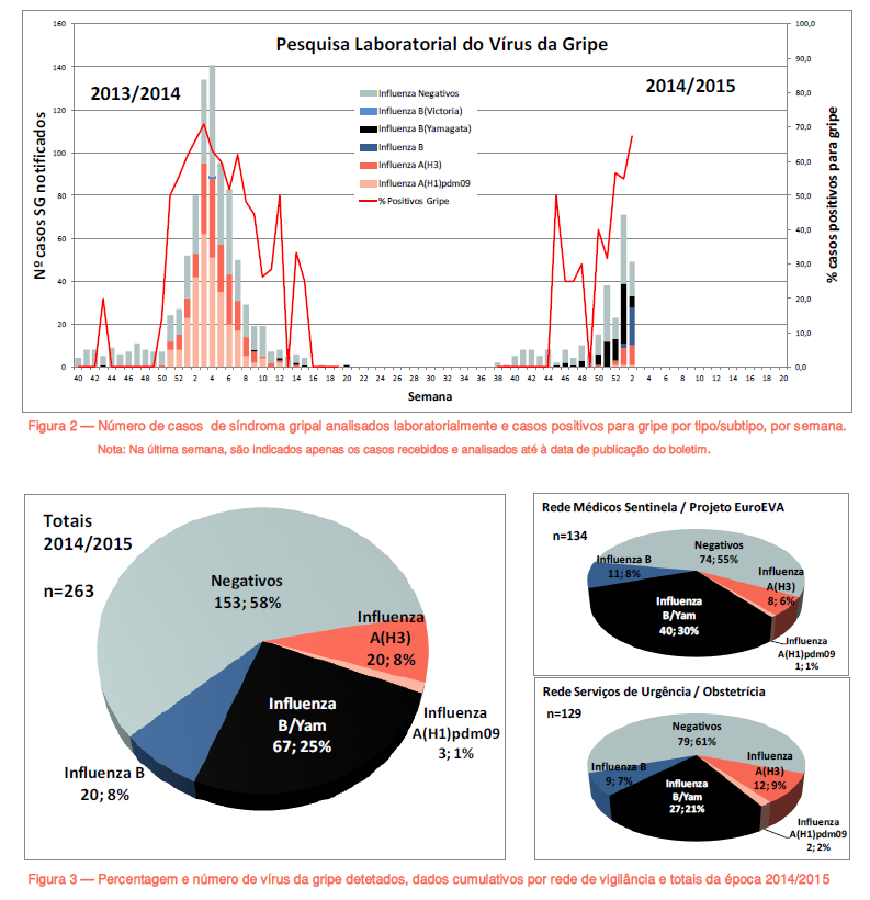 Vigilância Laboratorial da Gripe *A metodologia utilizada na detecção, tipagem e sub-tipagem dos