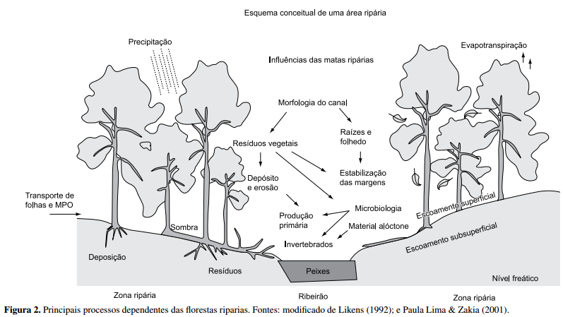 Fonte: http://www.biotaneotropica.org.br/v10n4/pt/fullpaper?